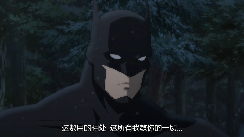 2015动画冒险《蝙蝠侠大战罗宾》BD720P&BD1080P.英语中字截图