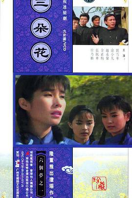 三朵花封面图
