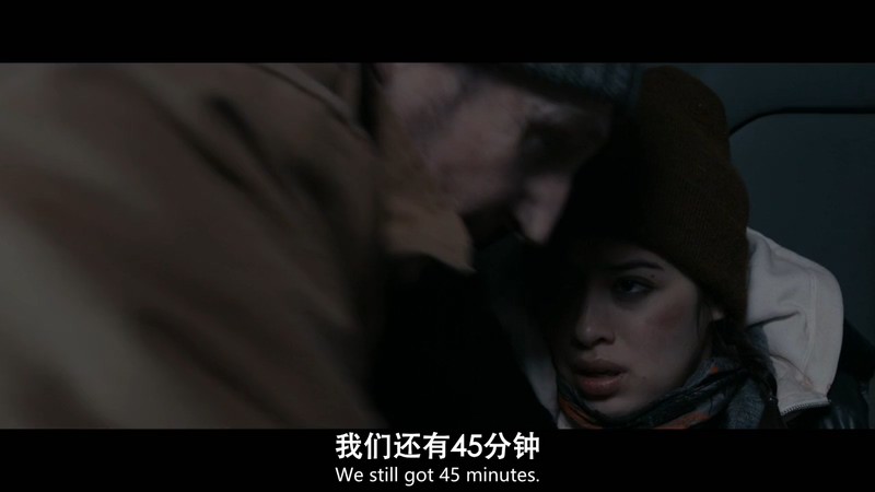 2021惊悚冒险《冰路营救》HD720P&HD1080P.英语中英双字截图
