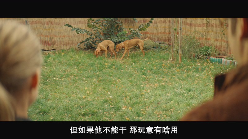 2018爱情喜剧《狗狗情缘》BD720P&BD1080P.德语中字截图