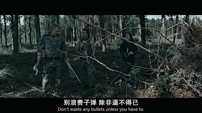 2019美国动作《过境救援》HD720P&HD1080P.英语中英双字截图