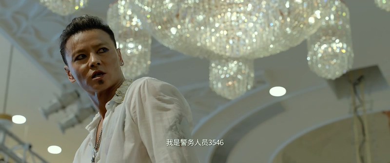2019动作犯罪《九龙不败》HD1080P.国语中字截图