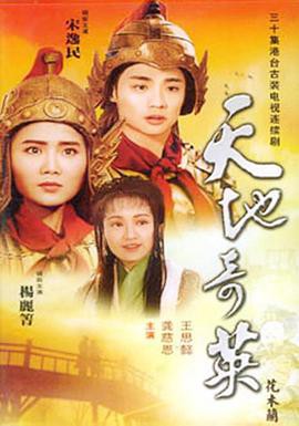 天地奇英之花木兰封面图