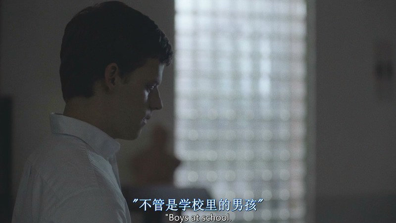 2018高分传记《被抹去的男孩》BD720P.英语中英双字截图