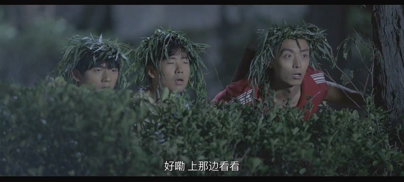 2018爱情《给我一个十八岁》21集全.HD1080P.国语中字截图