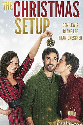 圣诞速配封面图