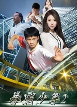 拳霸少年2封面图