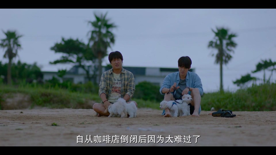 2023韩国喜剧《小狗小心肝》HD1080P.韩语中字截图;jsessionid=9np732-tdabhjw8_67DbeCB5d-geXkb0g8WcLCBB