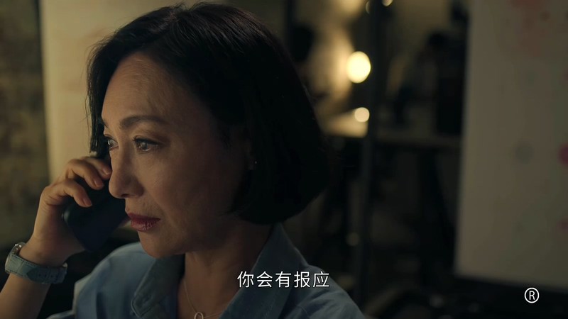 2021港剧《刑侦日记 国语》25集全.HD1080P.国语中字截图