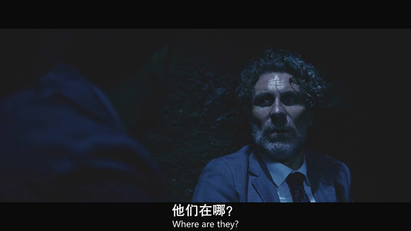 2019动作《恶夜将临》HD720P&HD1080P.英语中英双字截图