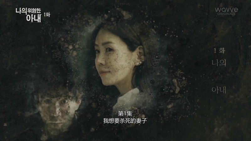 2020韩剧《我的危险妻子》16集全.HD1080P.韩语中字截图