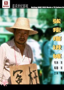 张疙瘩进城封面图