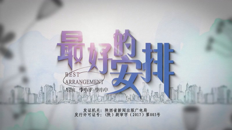 2017爱情电视剧《最好的安排》40集全.HD1080P.国语中字截图