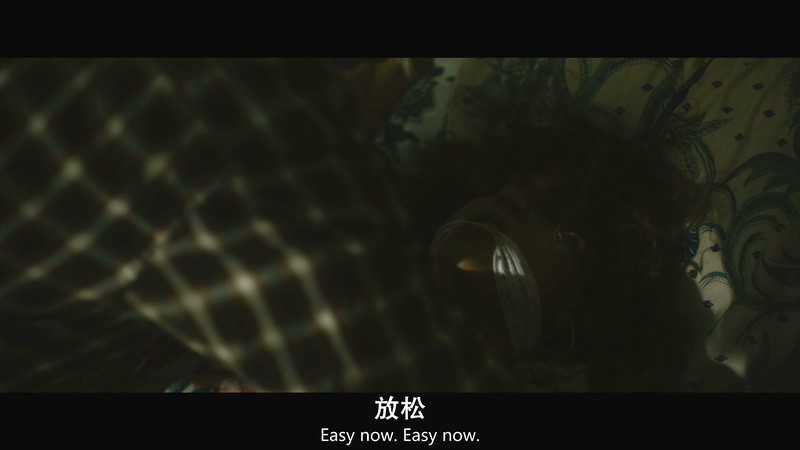 2018加拿大恐怖《让我来给你收尸》HD720P&HD1080P.英语中英双字截图