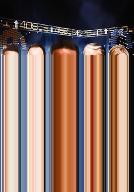 飞天大盗第五季封面图