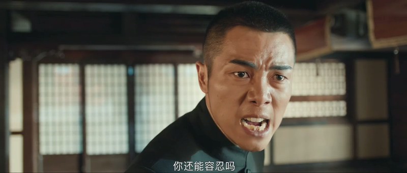 2019国产动作《精武陈真》HD1080P.国语中字.无水印截图