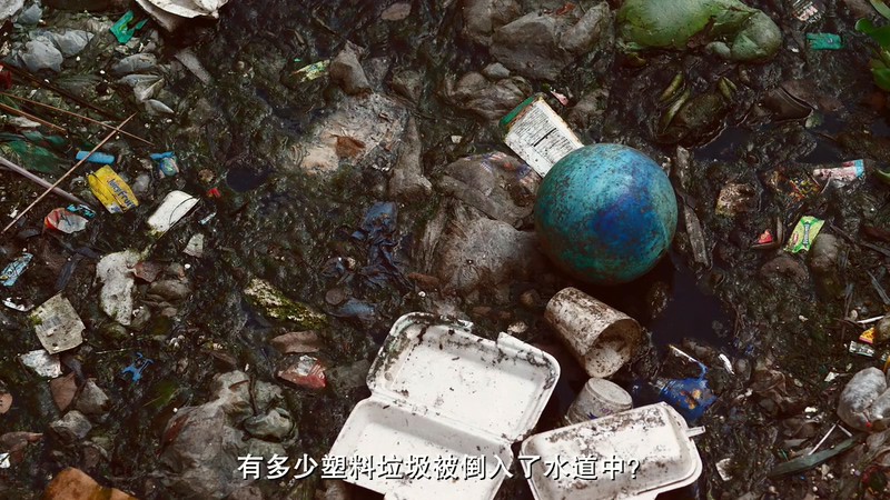 2016纪录片《塑胶海洋》HD720P.英语中字截图
