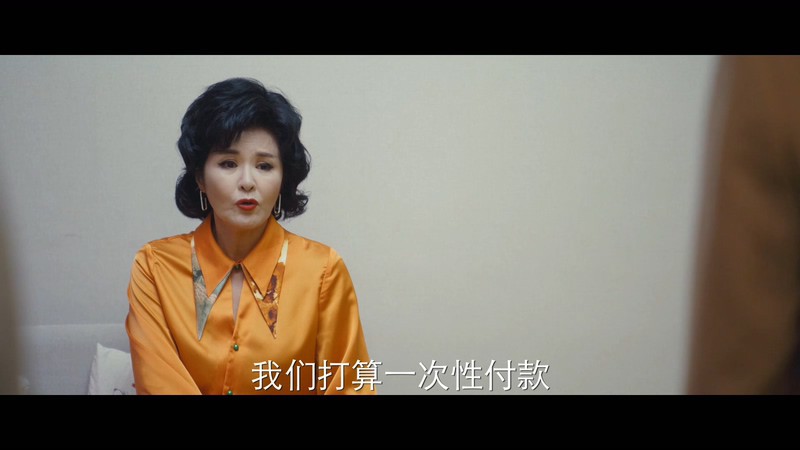 2021国剧《婆婆的镯子》14集全.HD1080P.国语中字截图