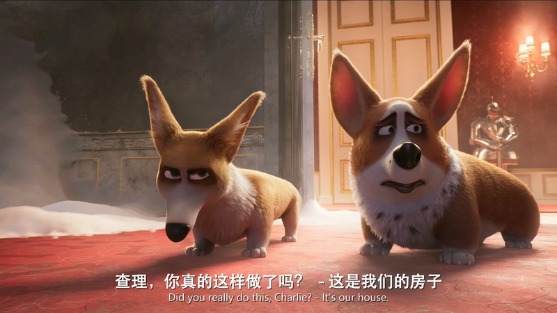 2019动画喜剧《女王的柯基》BD720P&BD1080P.英语中英双字截图