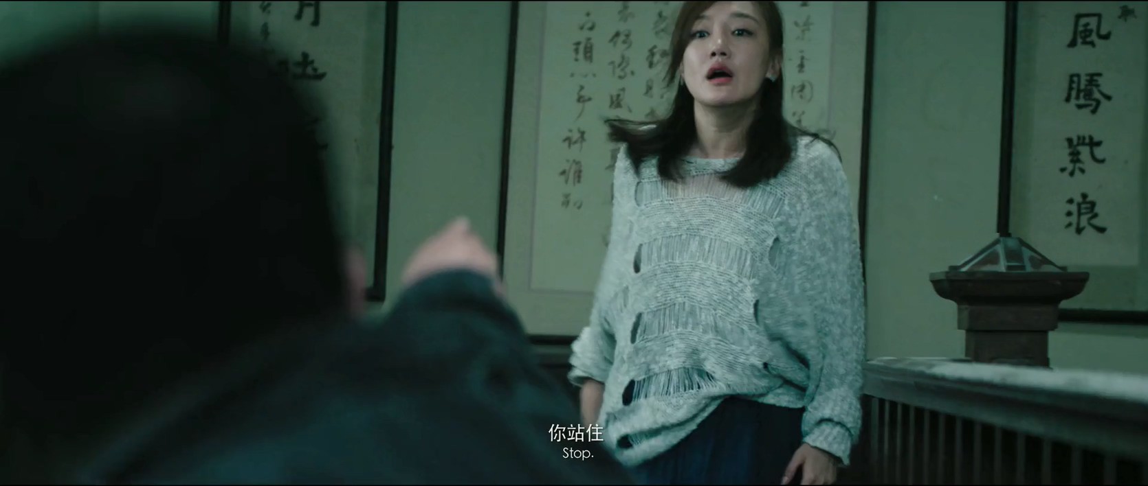 《借眼》2017悬疑惊悚.HD1080P.国语中字截图