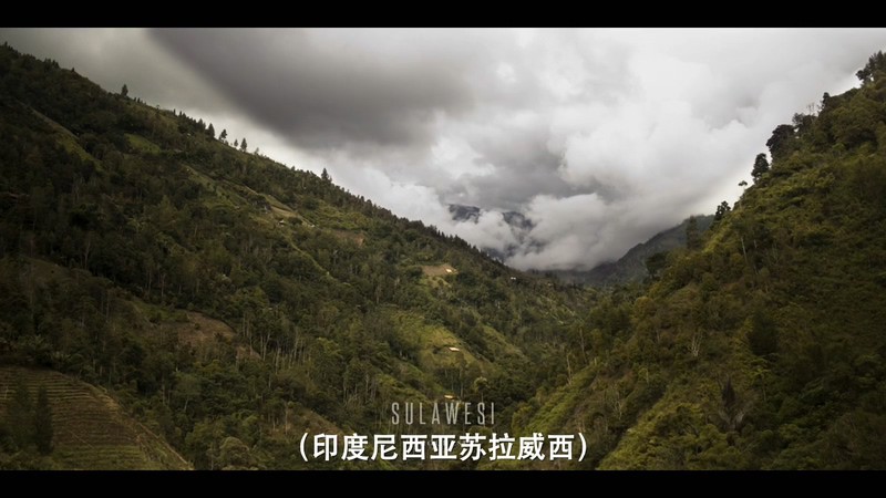 2021法国纪录《寻香之旅》HD720P&HD1080P.法语中字截图;jsessionid=WFT-ubAgiMJeWCXMBoK7yPWkZbNaeQNeKFGCbmza