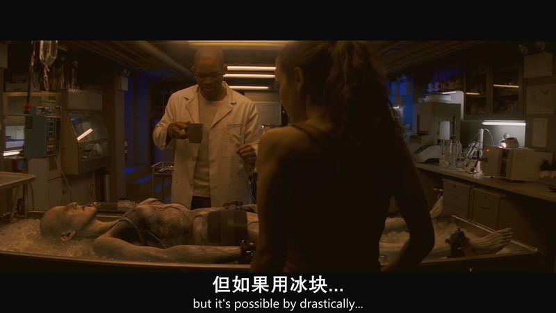 2007科幻恐怖《我是传奇》双结局.BD1080P.国英双语中字截图