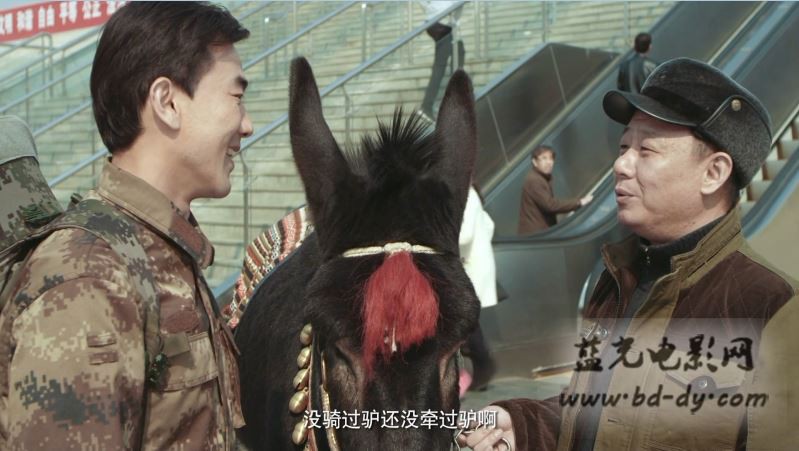 《人在驴途》2016喜剧.HD720P.国语中字截图