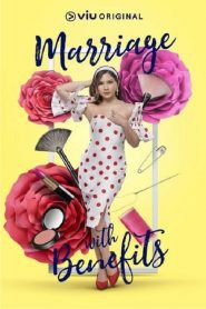 假扮夫妻第一季封面图