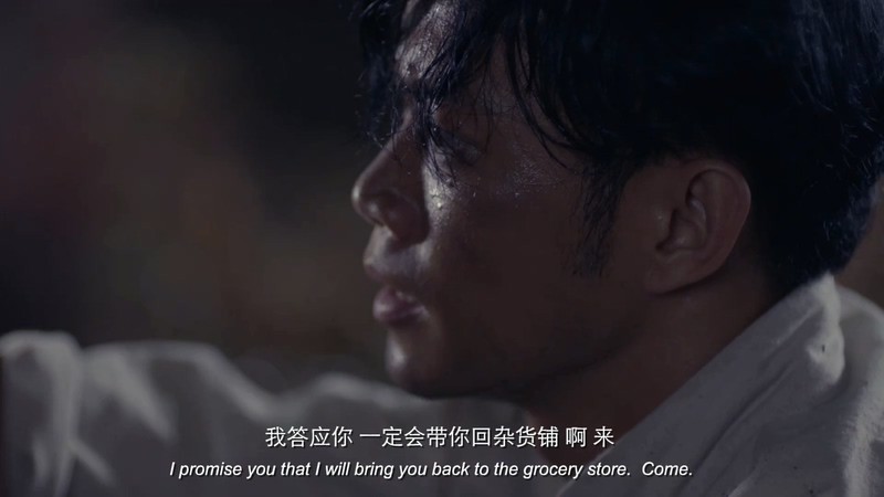 2019国产动作《真假铁马骝》HD1080P.国语中字截图