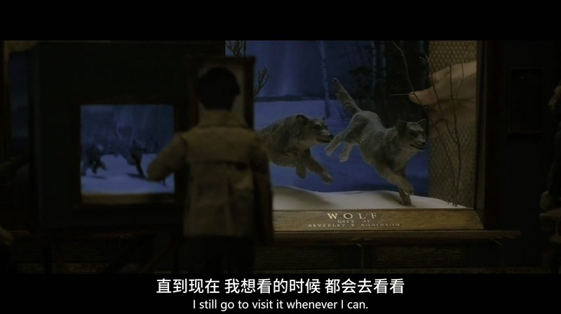 2017美国剧情《寂静中的惊奇》HD720P.英语中英双字截图