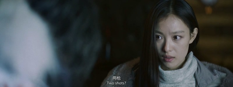 2019悬疑犯罪《雪暴》HD1080P.国语中字.无水印截图