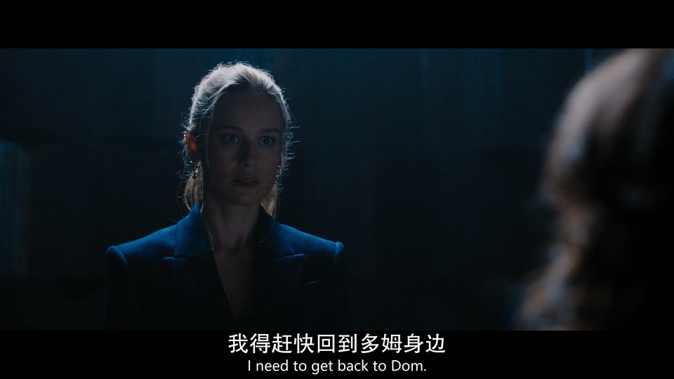 2023惊悚动作《速度与激情10》HD1080P&4K.英语中英双字截图