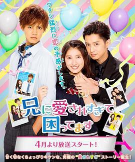 哥哥太爱我了怎么办电视剧版封面图