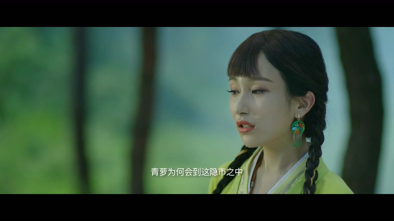 2020古装悬疑《隐市奇闻录》HD1080P.国语中字截图