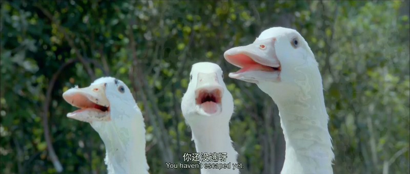 2019科幻冒险《动物出击》HD1080P.国语中字截图