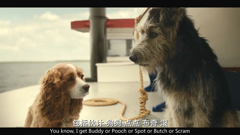 2019动画喜剧《小姐与流浪汉》HD720P.英语中英双字截图;jsessionid=hhiJz3UBfXOFL5pmevHCL2Rd7-R5R4mtzElLCRgP