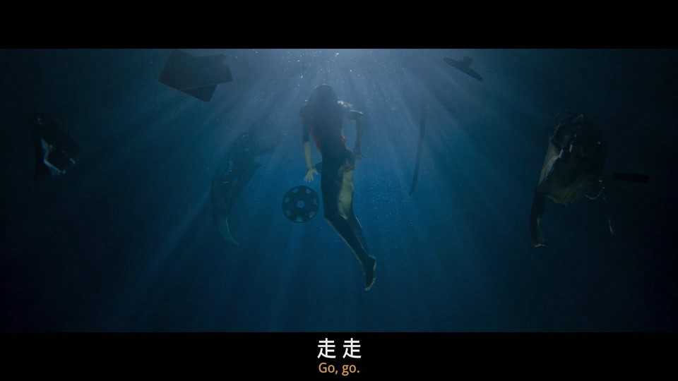 2022美国惊悚《坠入深渊》HD1080P.英语中英双字截图