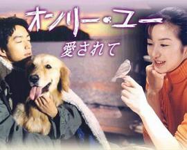 爱的真谛封面图