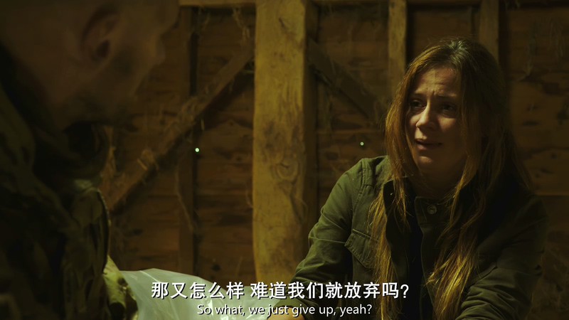 2018科幻剧情《最后一个男孩》HD720P&HD1080P.英语中英双字截图