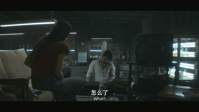 2019奇幻美剧《沼泽怪物第一季》10集全.HD1080P.英语中英双字截图