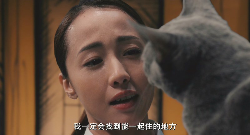 2018日本剧情《猫是要抱着的》BD720P&BD1080P.日语中字截图;jsessionid=nJ0vnCV1rYtOZPDw154nLyuLUkilPb1sIoIuhokW