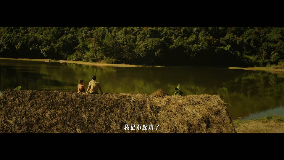 2021国产动作《兵王之绝境狙杀》HD1080P.国语中字截图