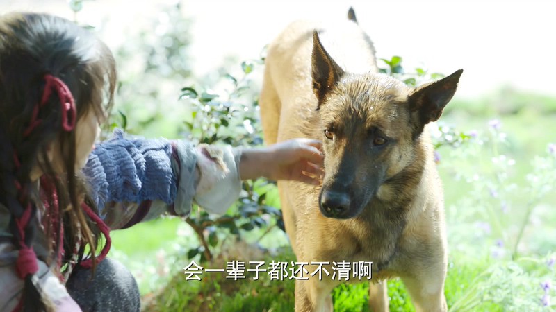 [HD-MP4][51集全] 小女花不弃 / 花不弃 / I Will Never Let You Go(2019)截图