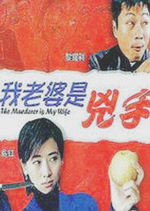 我老婆是凶手封面图