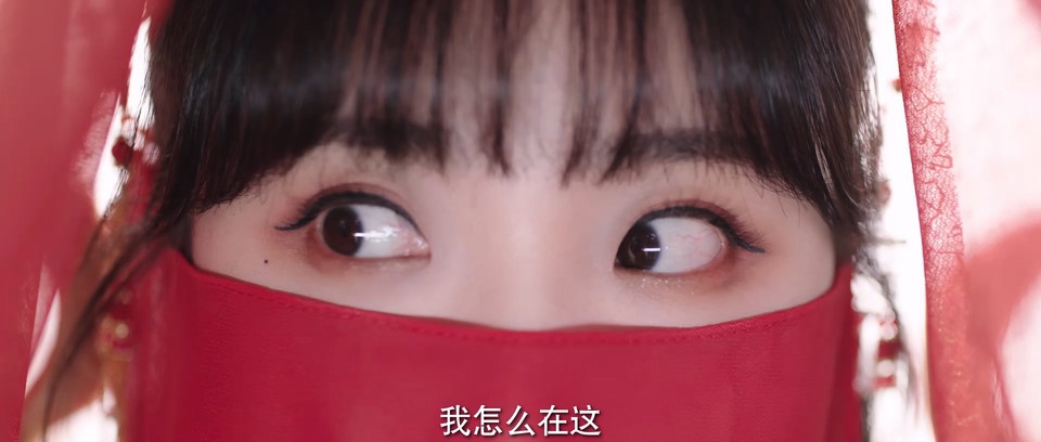 2023国剧《我的医妃不好惹》22集全.HD1080P.国语中字截图