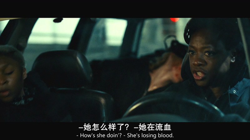 2018惊悚犯罪《寡妇联盟》BD1080P.英语中英双字截图