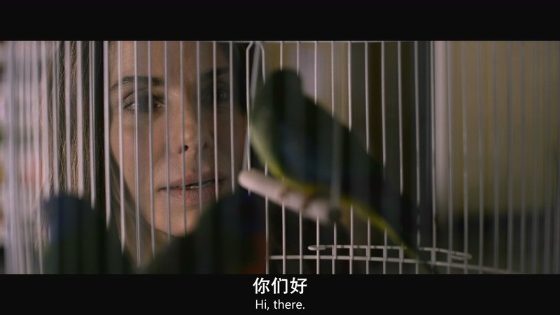 2018科幻惊悚《蒙上你的眼》HD720P&HD1080P.英语中英双字截图;jsessionid=ZVht1cYMovM66wDe5Xpqj4GHeOD_Xhn1hytm4uEo