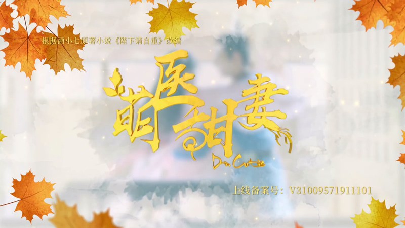 2020国剧《萌医甜妻》28集全.HD1080P.国语中字截图