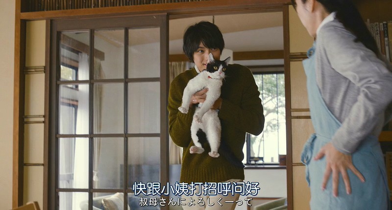 [BD-MP4] 旅猫日记 / Tabineko Report / The Travelling Cat Chronicles / 旅猫リポート (2018)截图