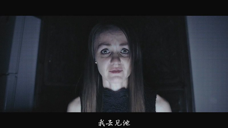 2018恐怖悬疑《地狱自拍》HD720P.英语中字截图